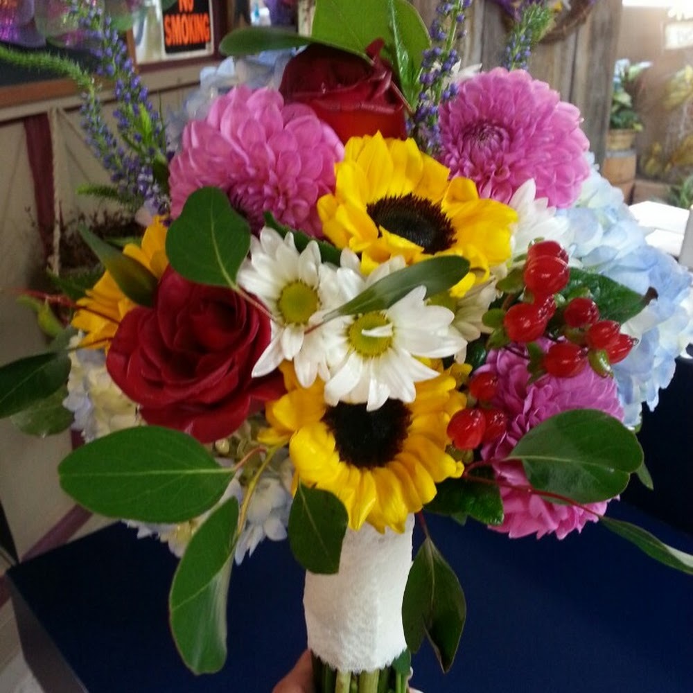 Meet your Posher, Country